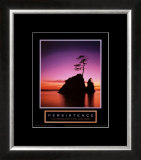 Buy Persistence: Sunset at AllPosters.com