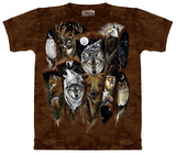 Buy Animal Feathers at AllPosters.com