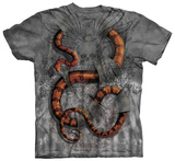 Boa Constrictor