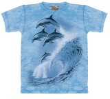 Buy Four Dolphins at AllPosters.com