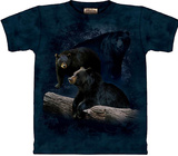 Buy Black Bear Trilogy at AllPosters.com