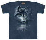 Wolf Reflections