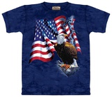 Buy Eagle Flag at AllPosters.com