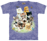 Ten Kittens