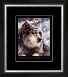 Buy Timber Wolf at AllPosters.com