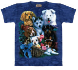 Puppy Collage
