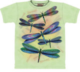 Dragonfly Dance