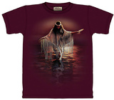 Buy Golden Reflection at AllPosters.com