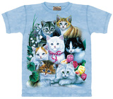 Kittens