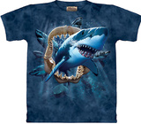 Shark Attack