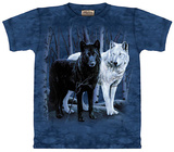 Buy Black and White Wolves at AllPosters.com