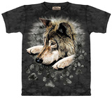 Wolf Paws