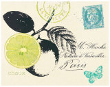 Buy Lime Letter at AllPosters.com