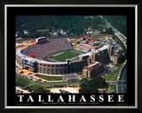 Buy Florida State - Tallahassee, FL at AllPosters.com