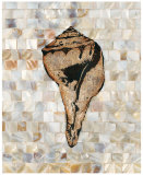 Buy Pearlized Shell at AllPosters.com