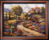 Tuscany Vistas II