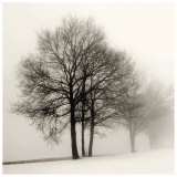 Winter Grove