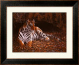 The Tiger's Lair