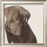 Buy Chocolate Labrador at AllPosters.com