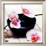 Orchid in a Bowl Framed Art Print