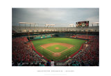 Buy Dolphins Stadium, Miami at AllPosters.com