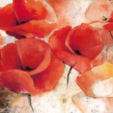 Buy Mohnwiese at AllPosters.com