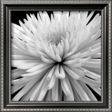Buy Mum at AllPosters.com