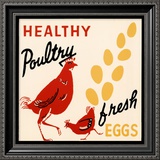 Buy Healthy Poultry-Fresh Eggs at AllPosters.com
