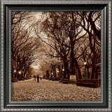 Buy Central Park at AllPosters.com