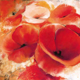 Buy Mohnspiel at AllPosters.com