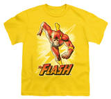 Buy Youth: Justice League America - Flash Yellow at AllPosters.com
