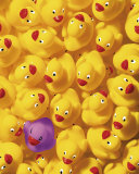 Quack, Quack I