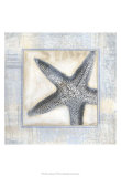 Driftwood Memories IV