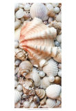 Shell Menagerie I