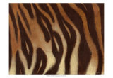 Tiger I