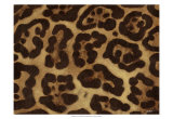 Spots I