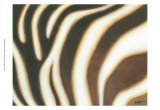 Stripes II