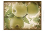 Buy Vintage Apples II at AllPosters.com