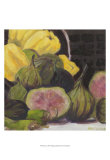 Buy Figs I at AllPosters.com