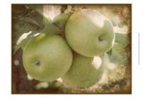 Buy Vintage Apples III at AllPosters.com