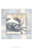 Driftwood Memories II