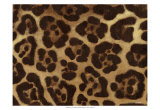 Spots II