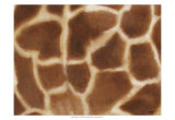 Giraffe II