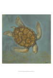 Sea Turtle I