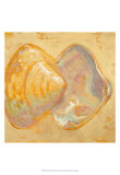 Shoreline Shells II Art Print