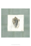 Sea Breeze II