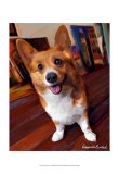 Corgi Get Low