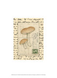 Buy Mushrooms II at AllPosters.com
