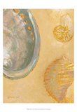 Shoreline Shells V Art Print
