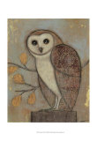 Ornate Owl II